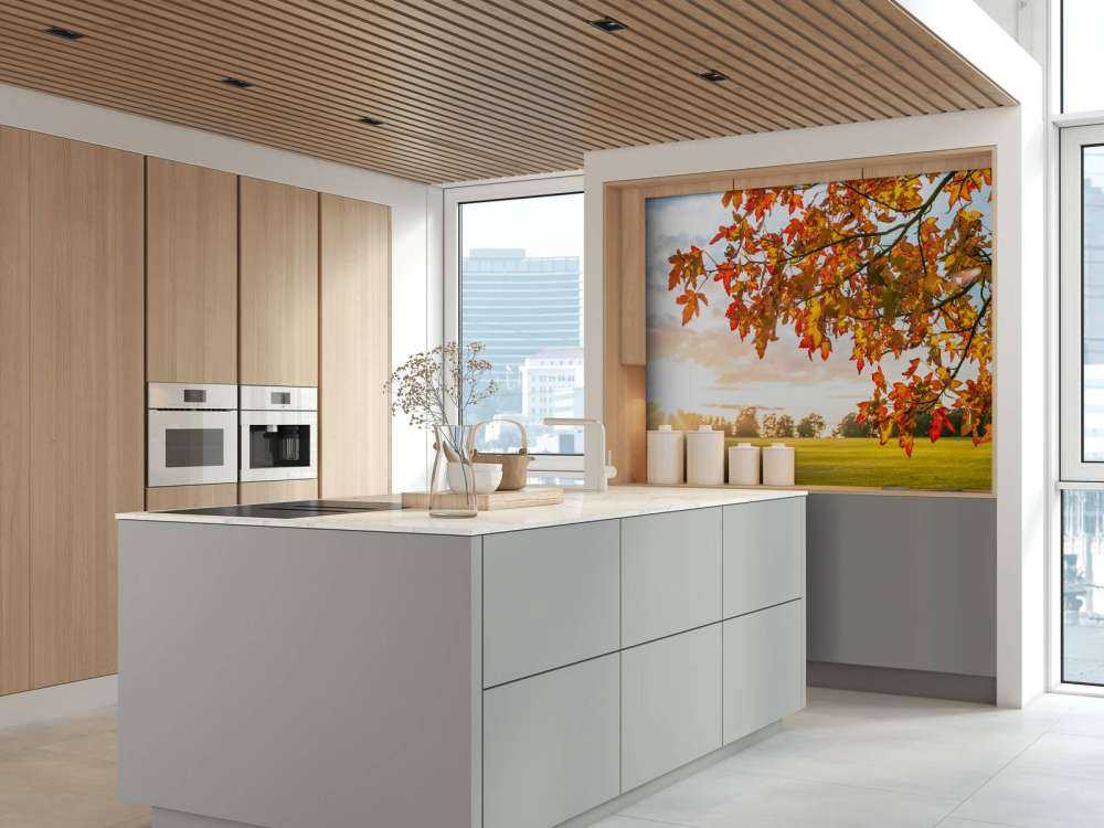 Arbre d'automne au coucher du soleil