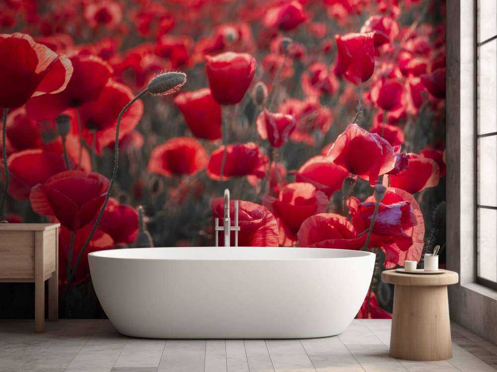 Des coquelicots dans un style sombre