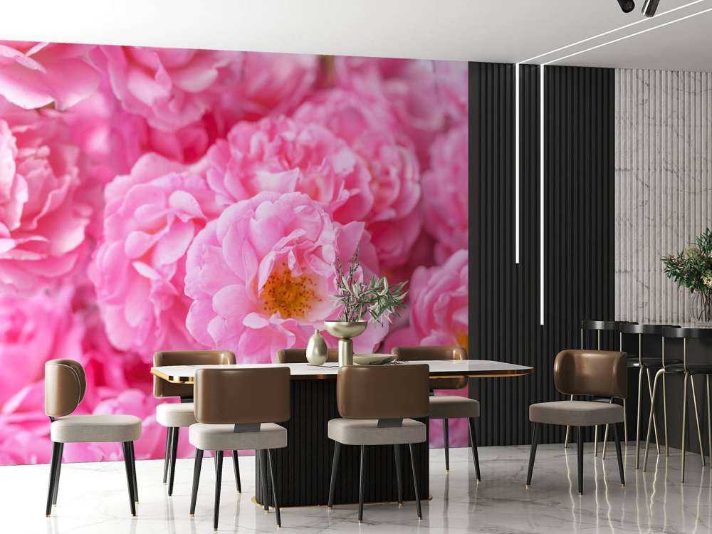 Plusieurs roses roses