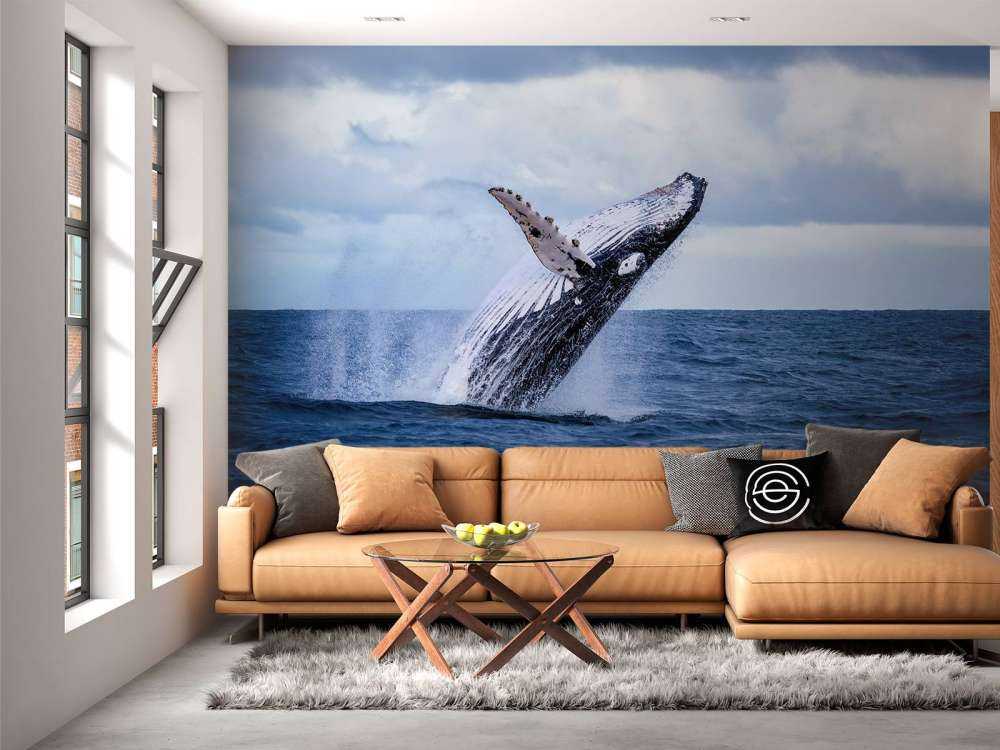 Baleine sauteuse