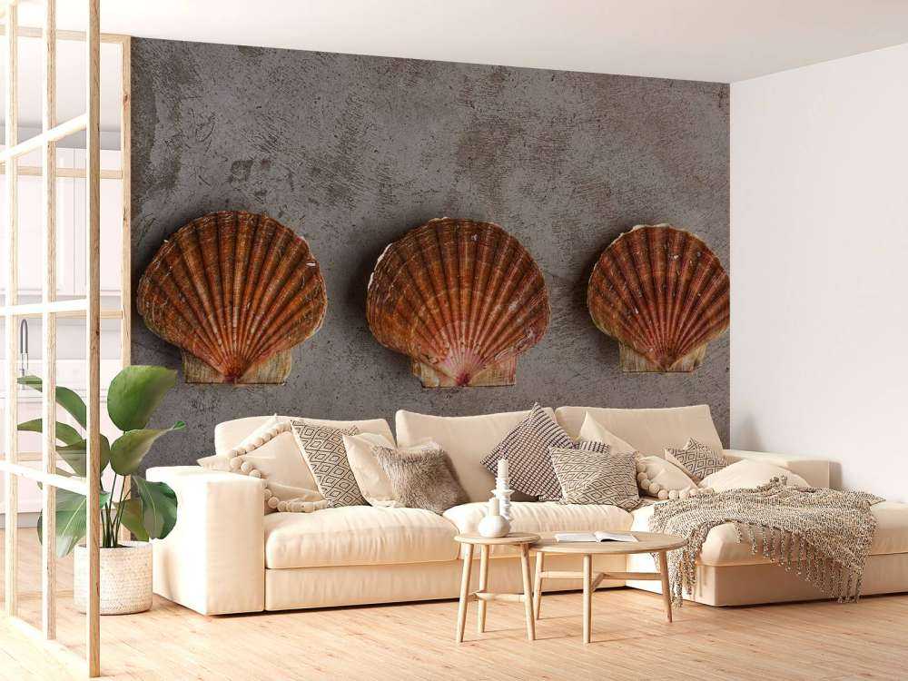 Trois coquilles