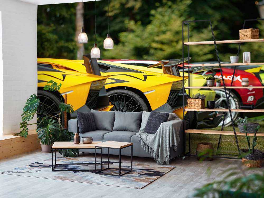 Collection de supercars dans la nature