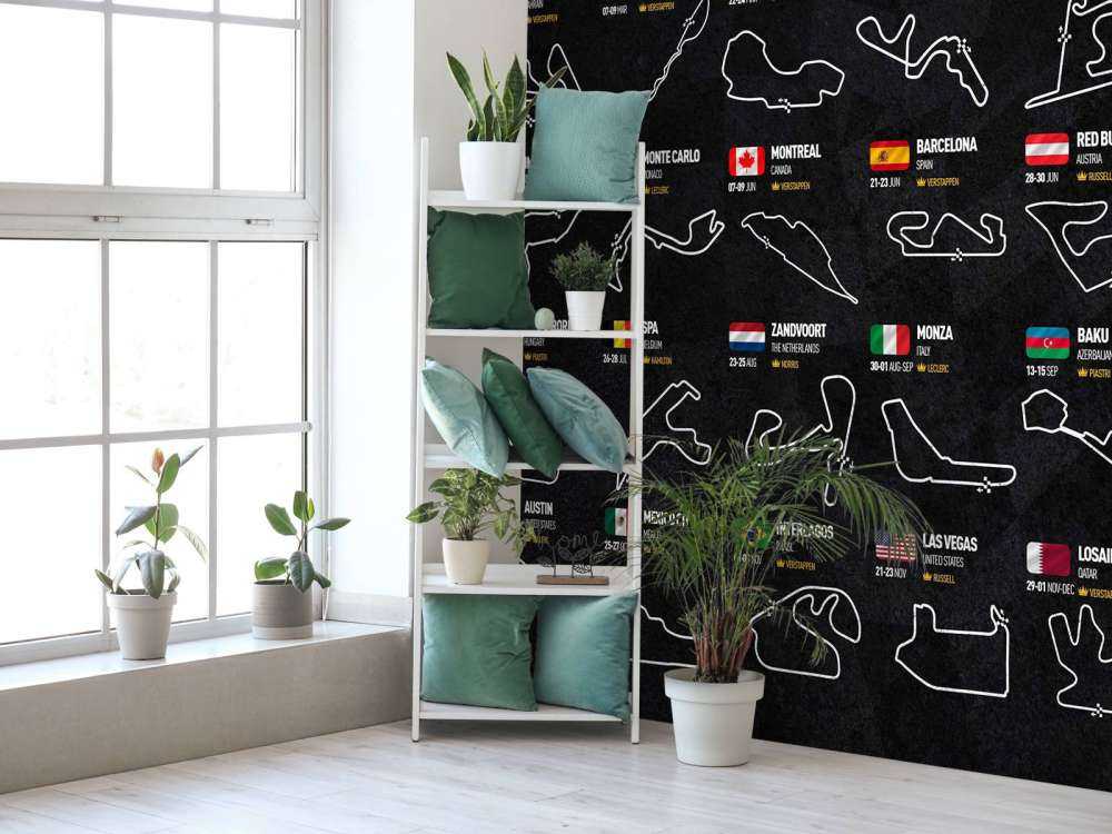 Formule 1 2024 - Carte des gagnants