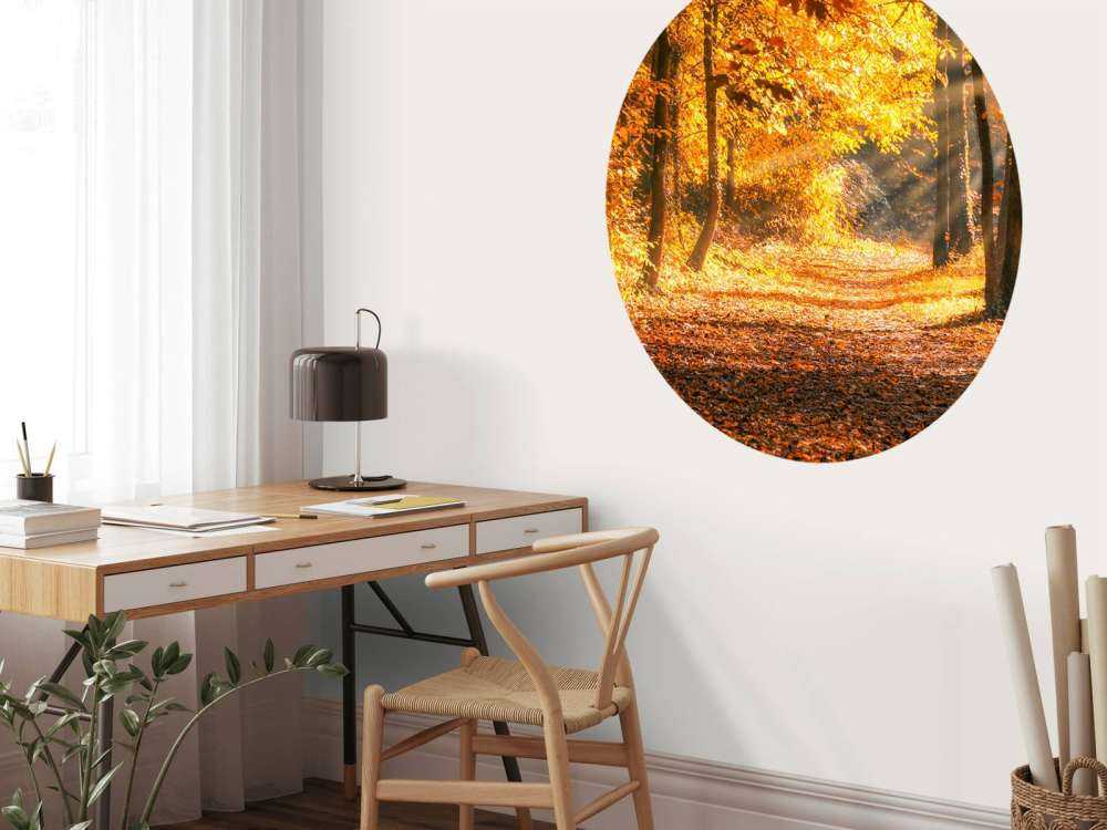 Panorama en automne