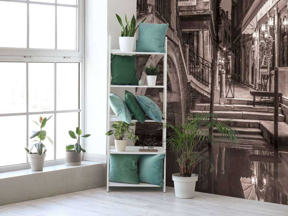 Gondolas moored along the canal, Venice, Italy