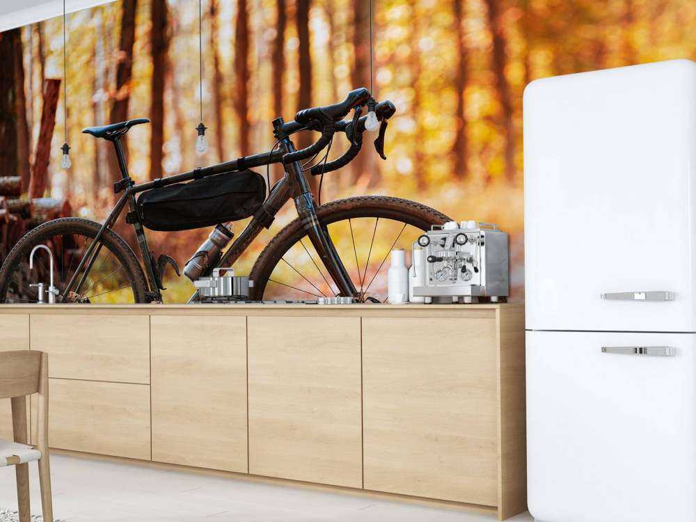 Vélo en automne
