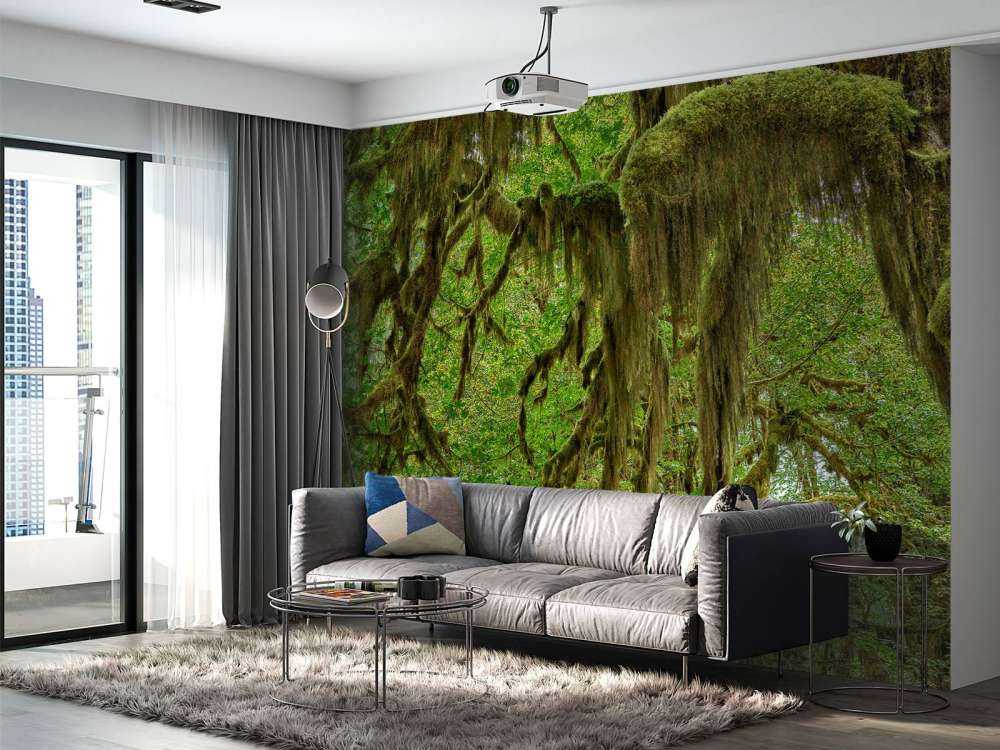 Mousse sur branches d'arbres