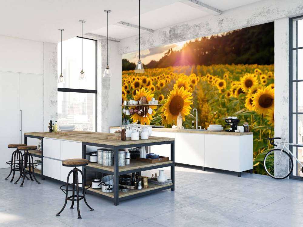 Ferme de tournesols