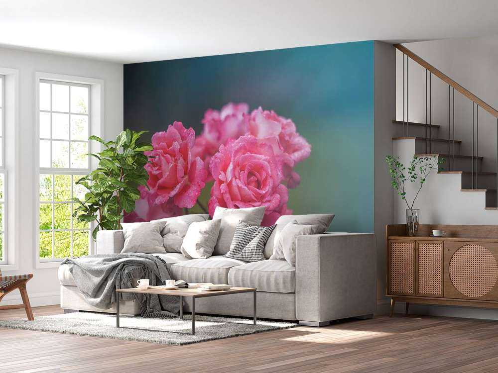 Branche de rose rose