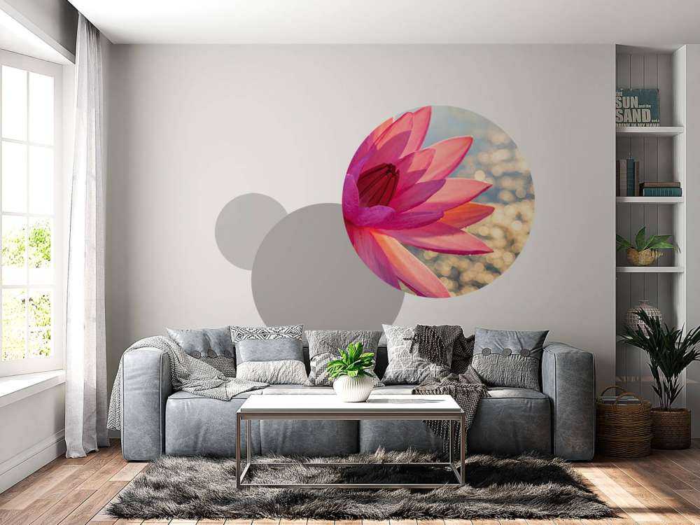 Fleur de lotus sur l'eau