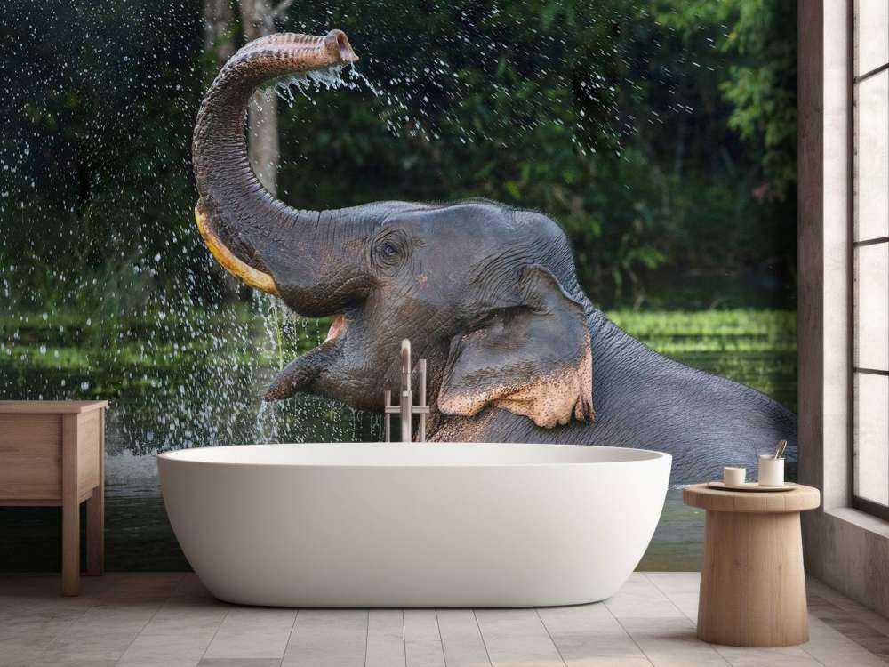 L'éléphant dans l'eau
