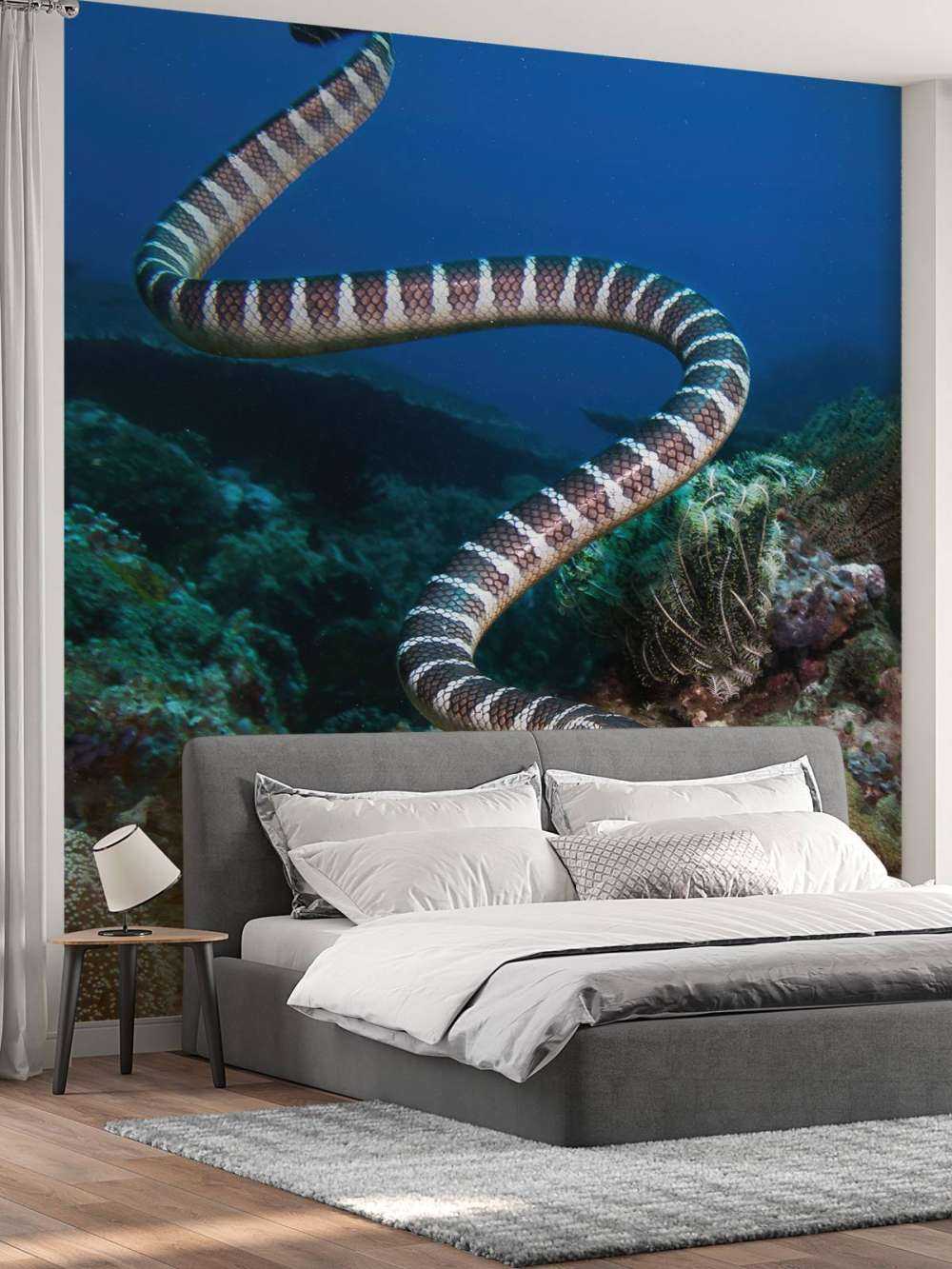 Serpent de mer rayé