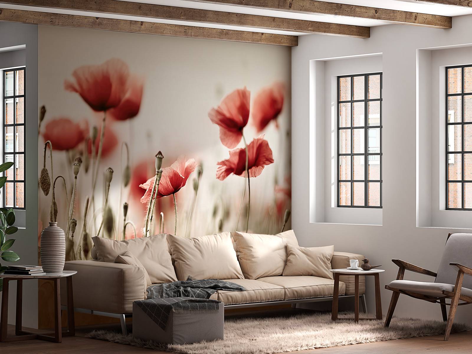 Des coquelicots de rêve