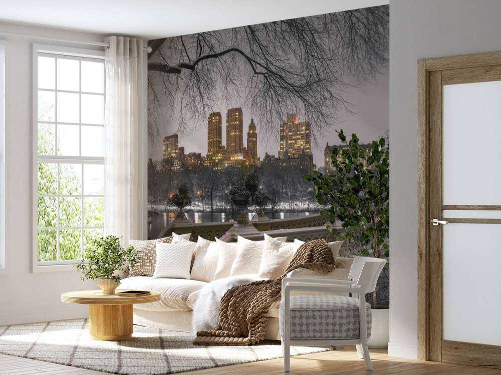 Central park et Manhattan
