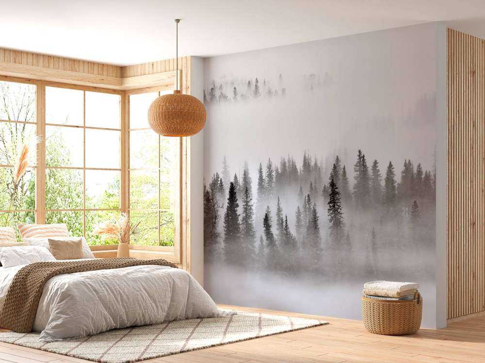 Foggy Forest -1x