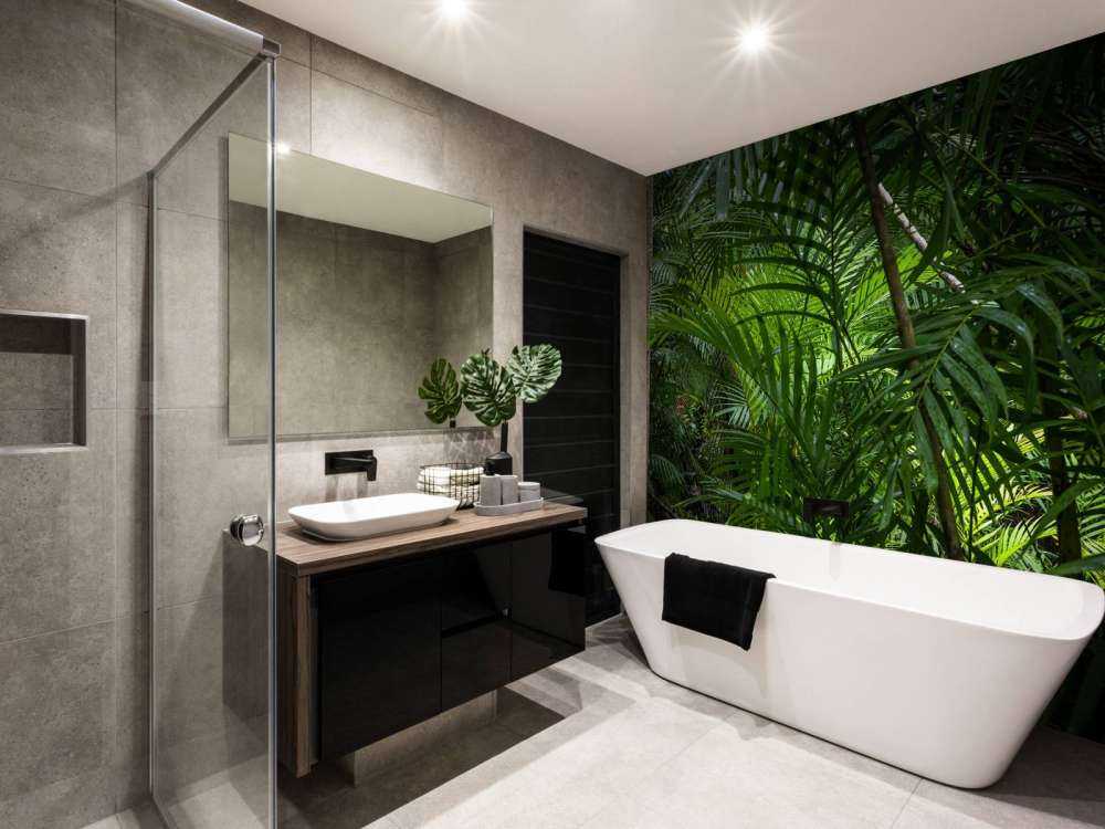 Forêt tropicale humide