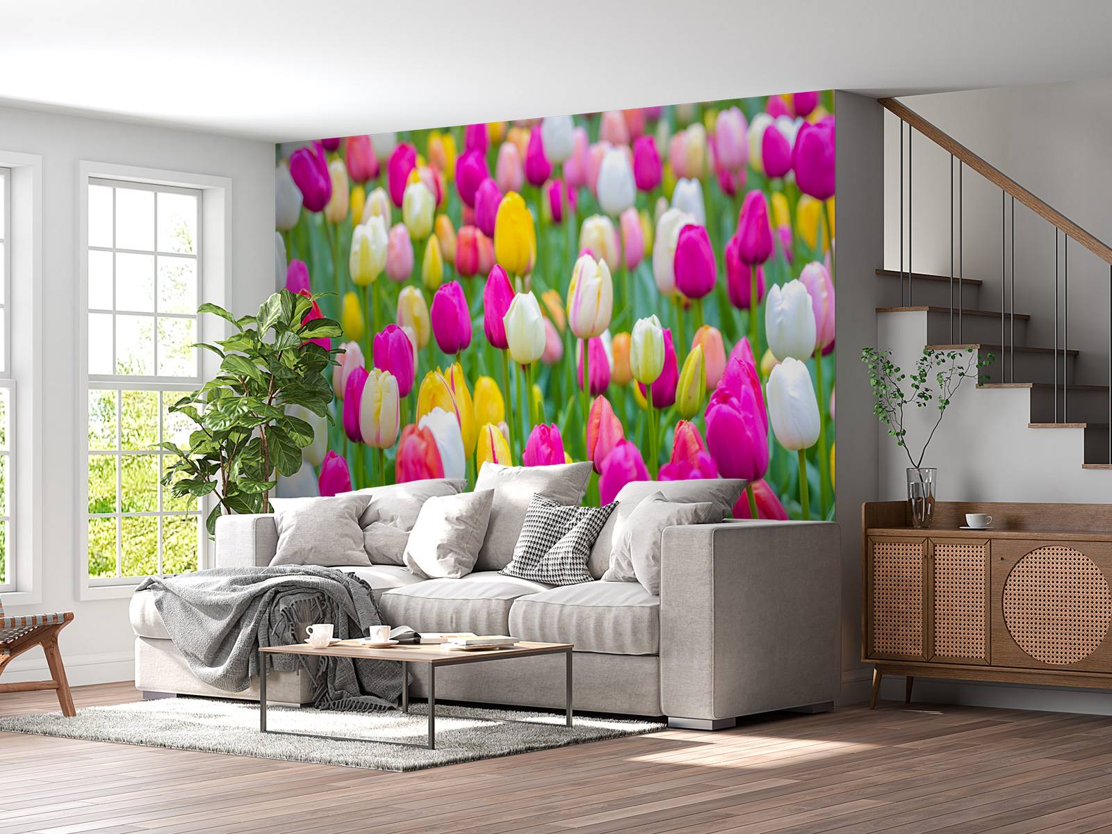 Tulipes multicolores dans un champ