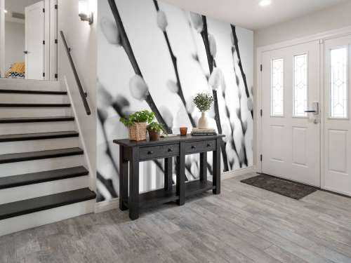 Saule noir et blanc