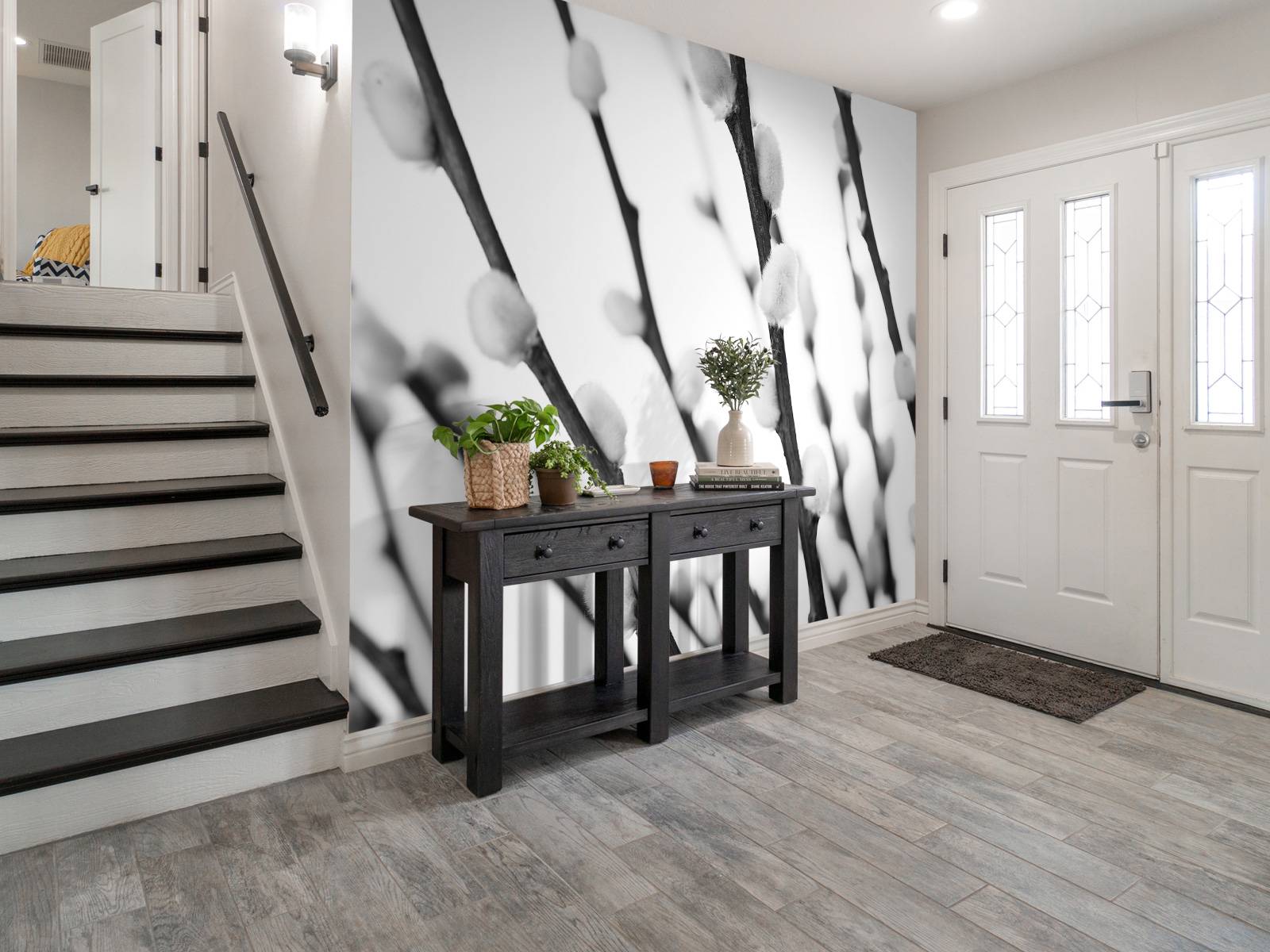 Saule noir et blanc