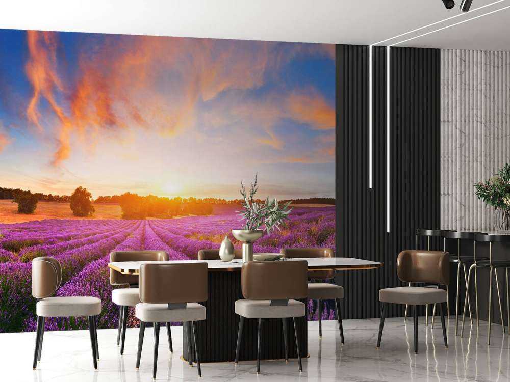 Champ de Lavandes