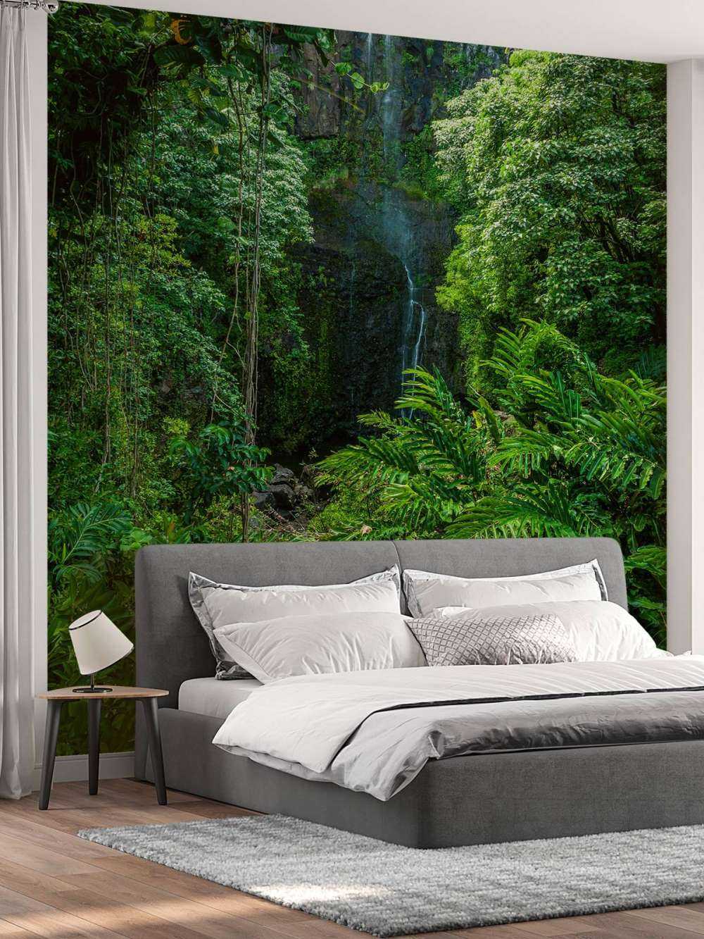 Jungle et pierres