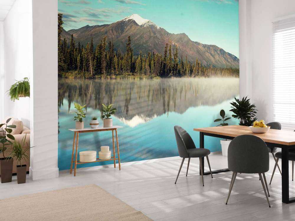 Paysage en Alaska