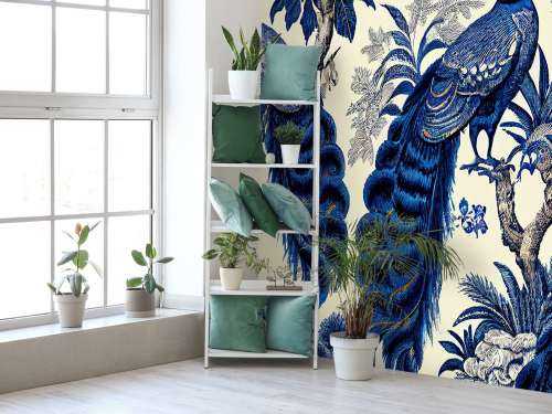 Splendeur du paon bleu royal