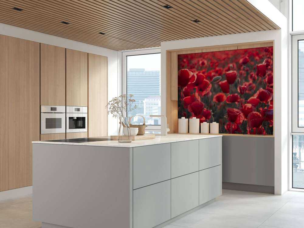 Des coquelicots dans un style sombre