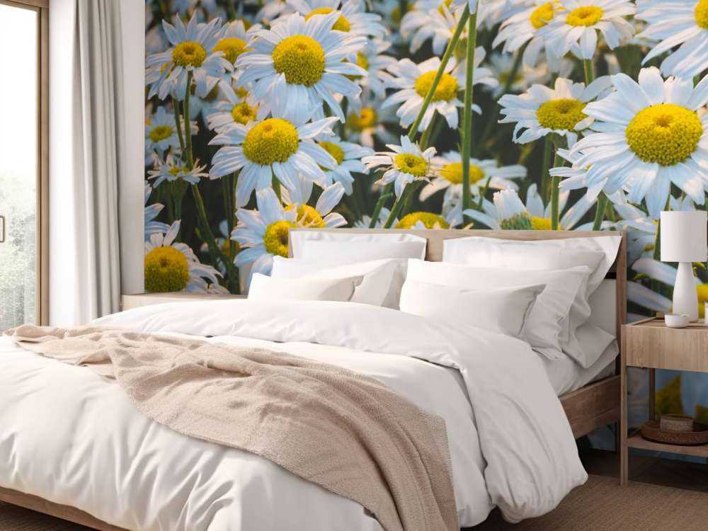 Marguerites vintage