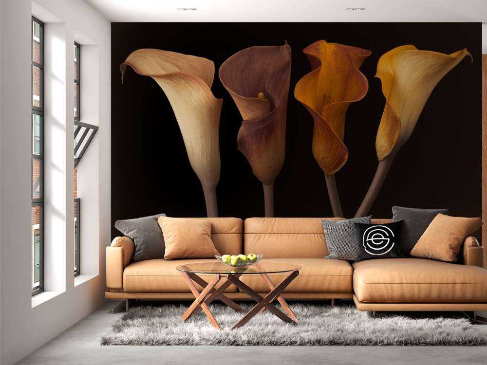 Lys Calla
