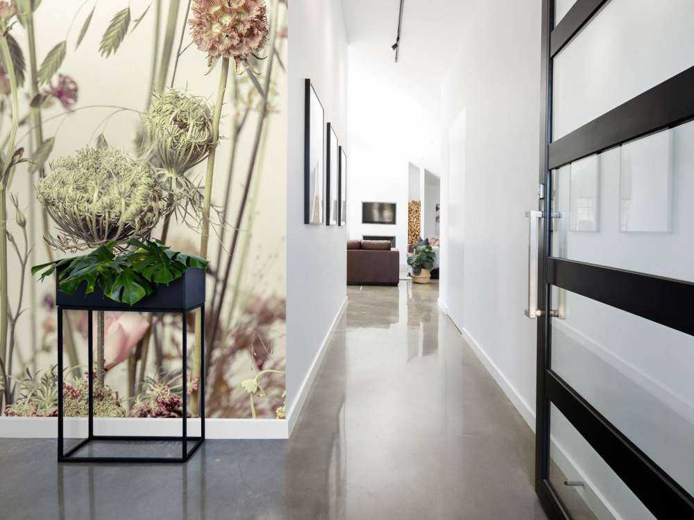 Fleurs en gros plan