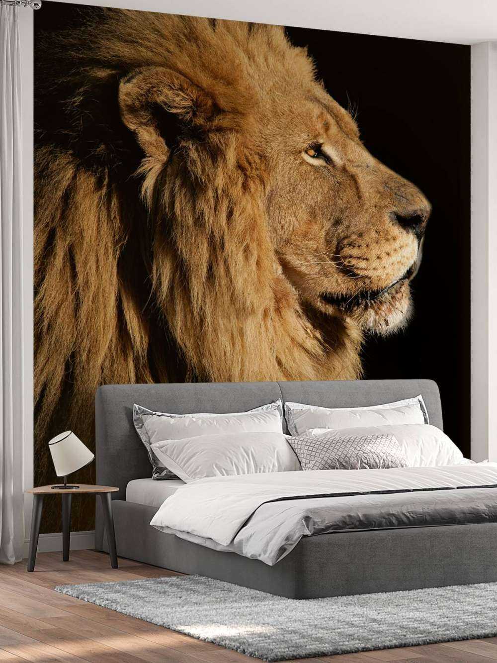 Profil latéral d'un lion