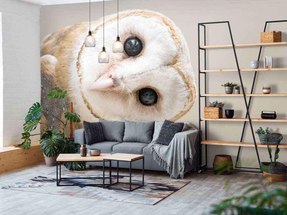 Chouette avec la tête inclinée