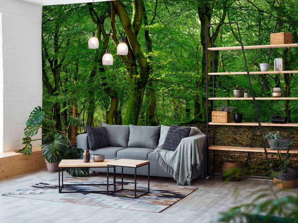 Arbres à feuilles vertes
