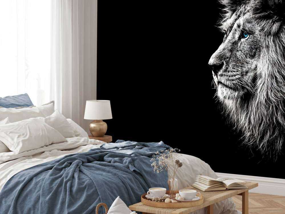 Lion aux yeux bleus