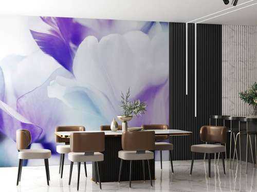 Tulipes fantaisie