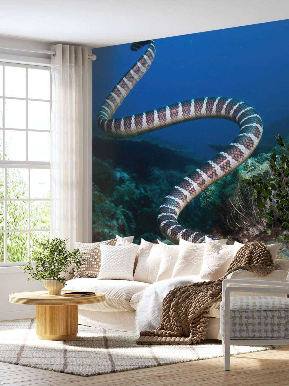 Serpent de mer rayé