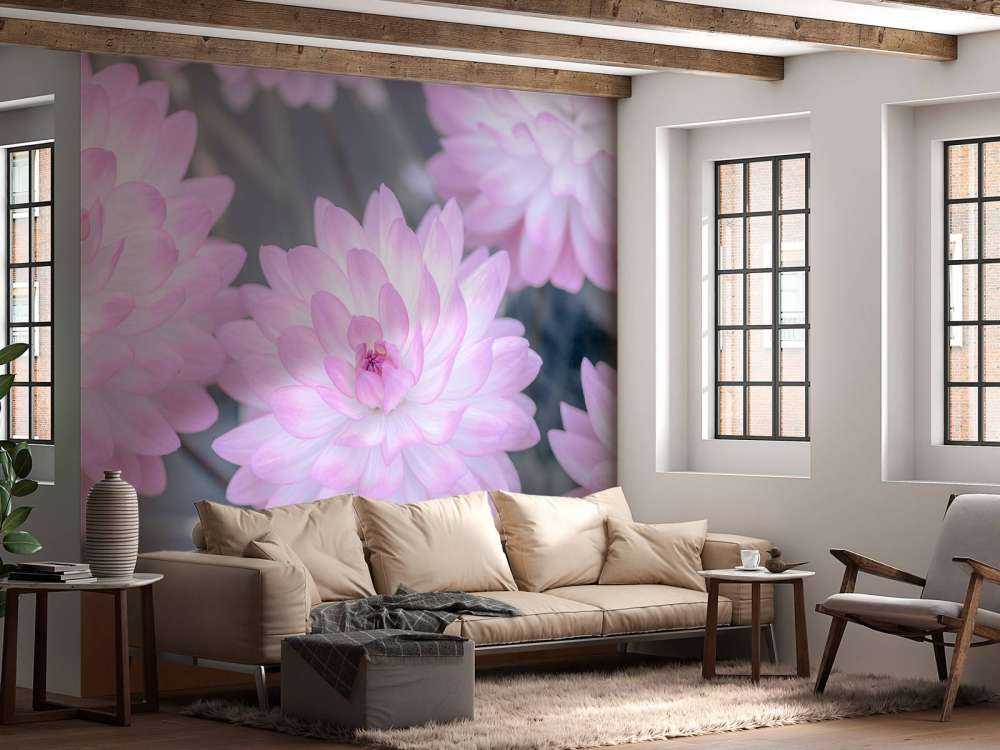 Fleur de dahlia rose