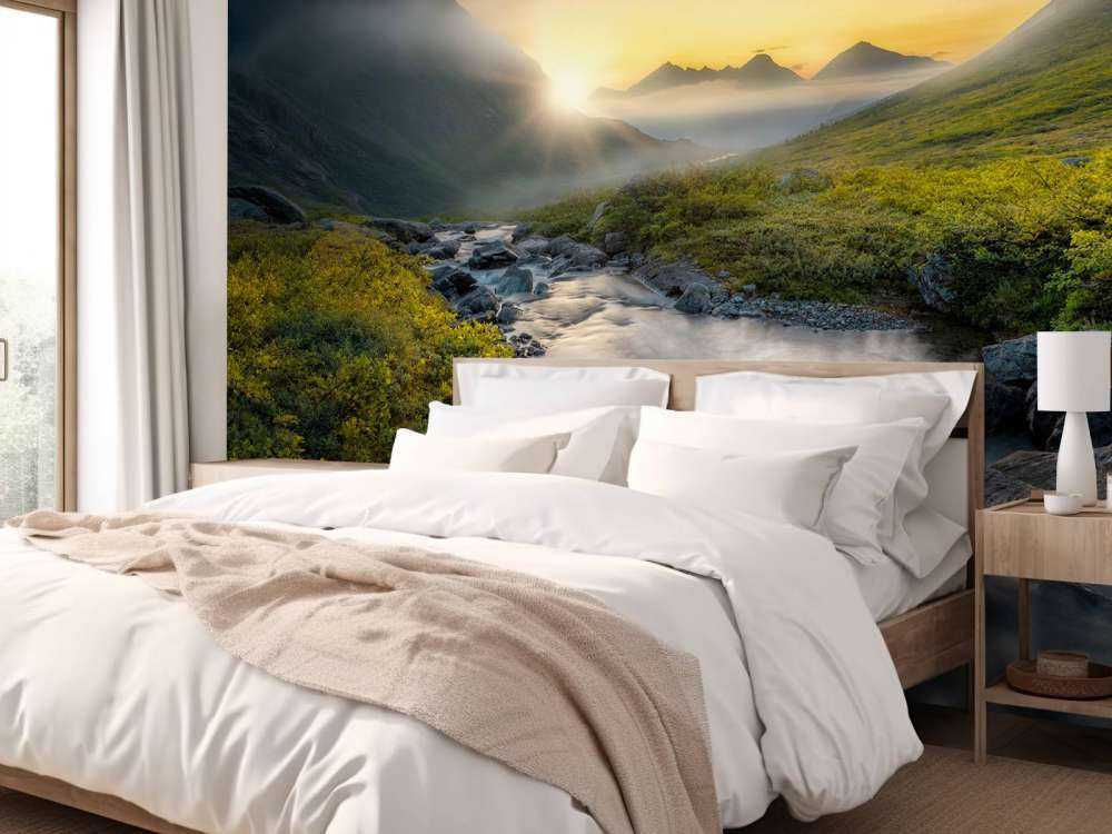 Dreaming