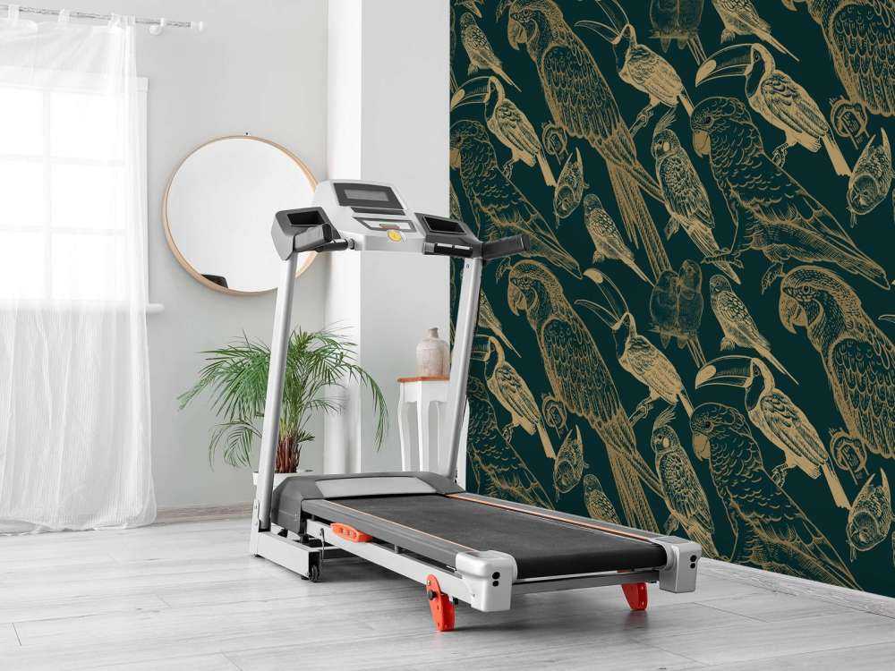 Modèle de perroquet et de toucan