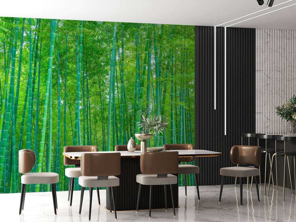 Une forêt verte de bambous