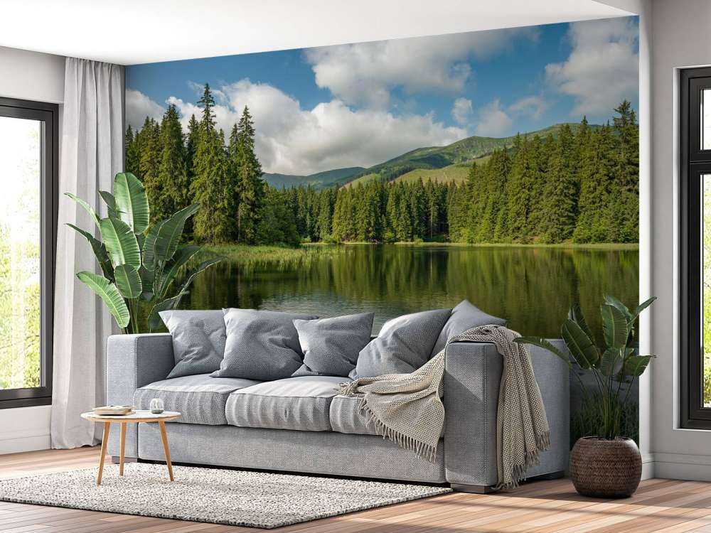 Lac dans la forêt