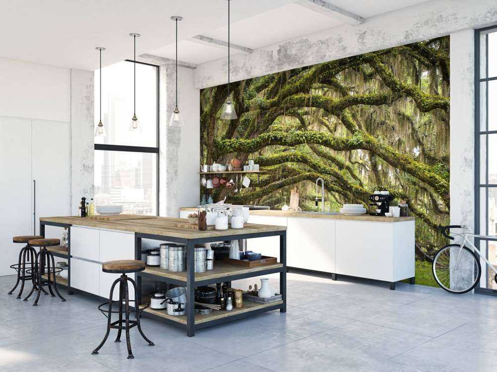 Forêt enchantée