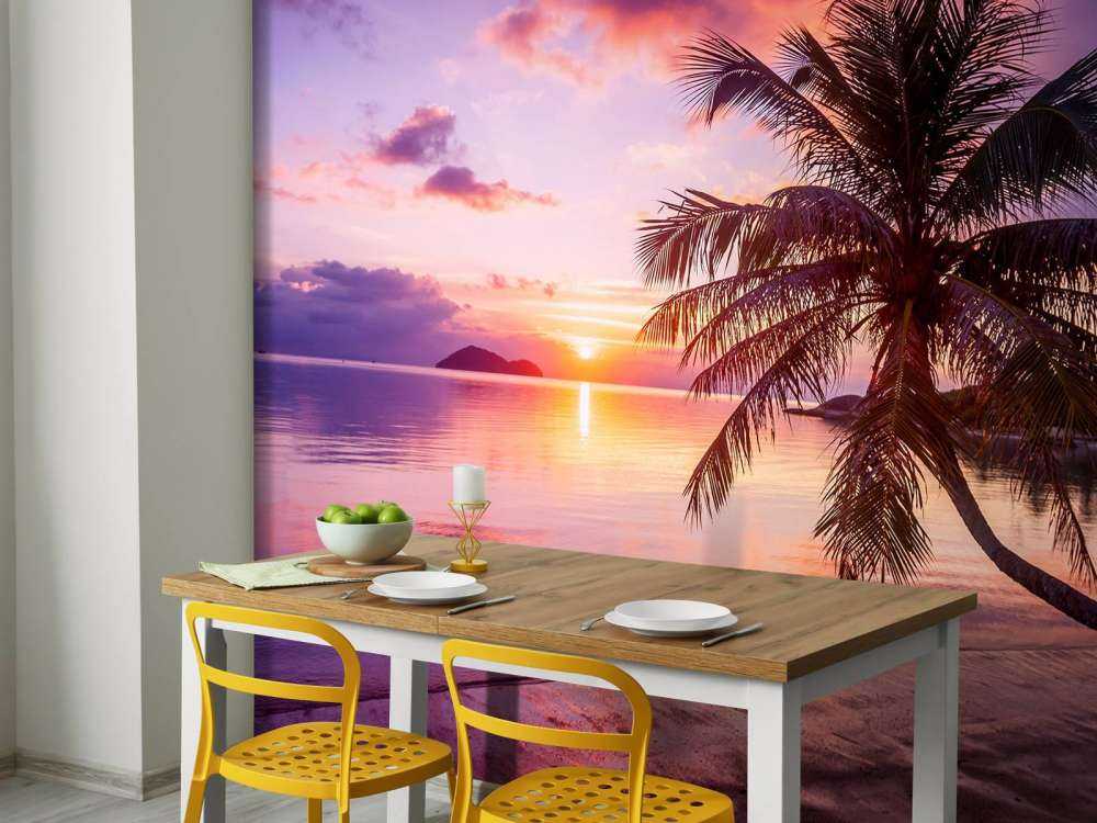 Palmier au coucher du soleil
