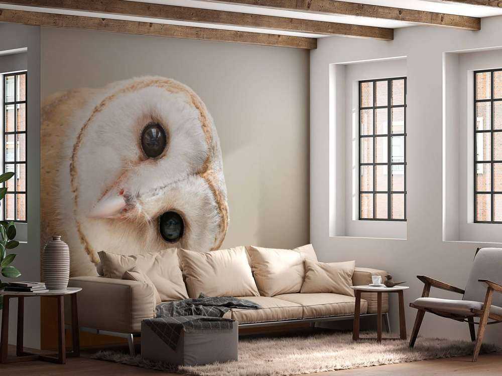 Chouette avec la tête inclinée