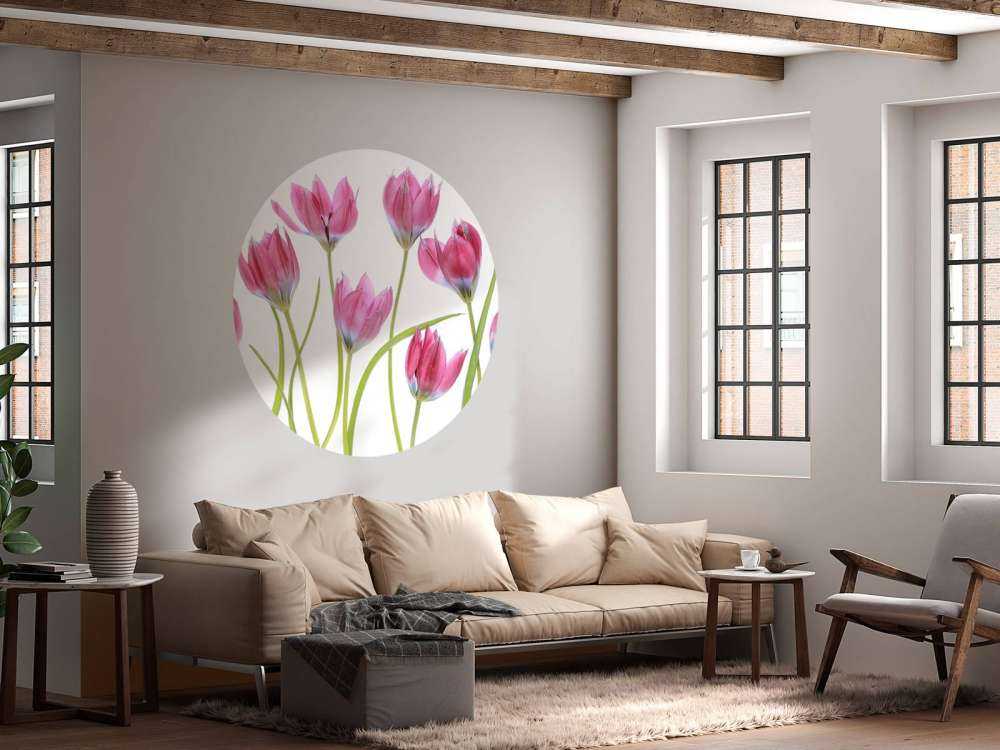 Tulip blush