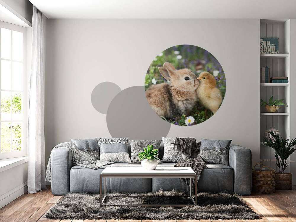 Lapin et poussin
