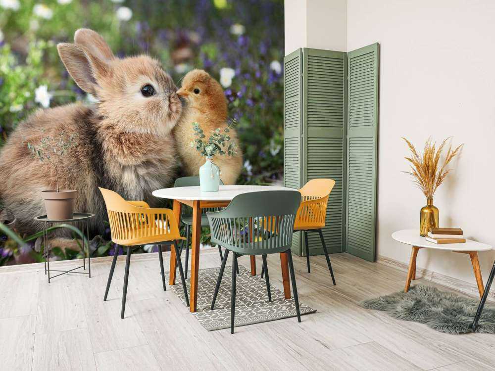 Lapin et poussin