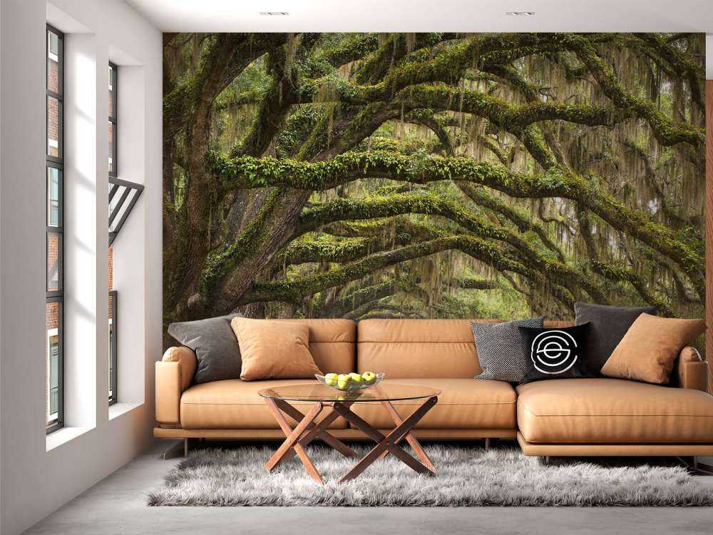 Forêt enchantée