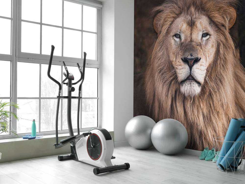 Portrait d'un lion